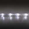 Close-up of a clear LED rope light laid horizontally, emitting cool white light from evenly spaced bulbs, with visible internal wiring against a dark, reflective surface.