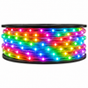 120V LED RGB Chasing Rope Lights wrapped around a spool showing multiple different colors.