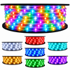 RGB LED 120 Volt Chasing Rope Lights spool with sparkle affects showing single colors below.