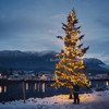4-12 Foot Telescoping Extension Pole with Utility Hook - Hanger for Christmas Lights