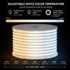 Spool of variable/tunable white LED Neon rope light stating that the light can display various colors of white. From white white at 3,000K to cool white at 6,000K.