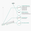 LED Up and Down Fixture - Model WP - Selectable Wattage (15/25/35/50W) - Tunable CCT (3000K/4000K/5000K) - 4 Foot