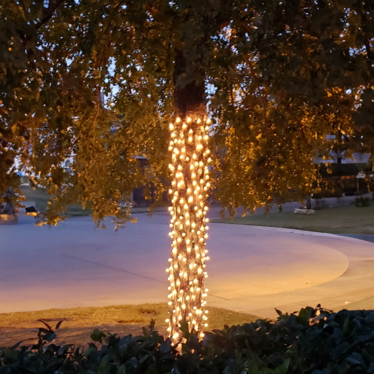 No Wrap Straps for Holiday Lighting Birddog Lighting