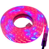 LED 5 Row Strip Grow Light - 120 Volt - High Output (SMD 2835) - Custom Cut