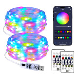 Smart RGBIC LED Dream Color Fairy Lights with Remote - 5 Volt USB - Bluetooth - Music Sync - 2 Pack - 33 Feet Total