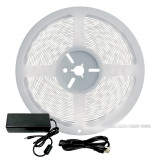 Cool White LED Strip Light - 24 Volt - High Output (SMD 3528) - Indoor/Outdoor Use (IP20 or IP65) - 32.8 Foot Bundle