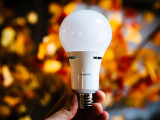 Top 6 Advantages of Using LED Light Bulbs