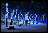 LED Lighting Ideas For Winter
