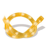 Diamond Jo Casino installs LED rope lights and bulbs to save money