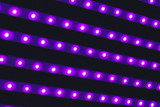 Let’s Get Real: How Long Do LED Bulbs Last and Are They Worth It?