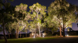 Landscaping Lighting Tips: 6 Ways to Increase Your Evening Curb Appeal