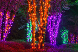 How to Use Halloween String Lights for Maximum Spookiness