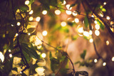 Summer Lighting 101: How-To Create a Charming Backyard With LED Lights