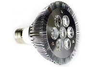 PAR30 7 Watt Dimmable LED Light Bulb
