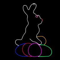 Bunny rabbit sitting behind three eggs