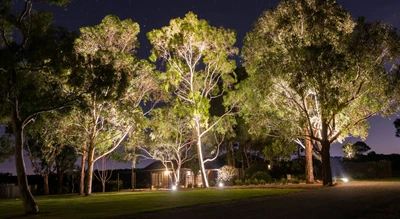 Landscaping Lighting Tips: 6 Ways to Increase Your Evening Curb Appeal
