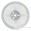 Cool White LED Strip Light - 24 Volt - High Output (SMD 3528) - Indoor/Outdoor Use (IP20 or IP65) - 32.8 Feet (10M) 6000K