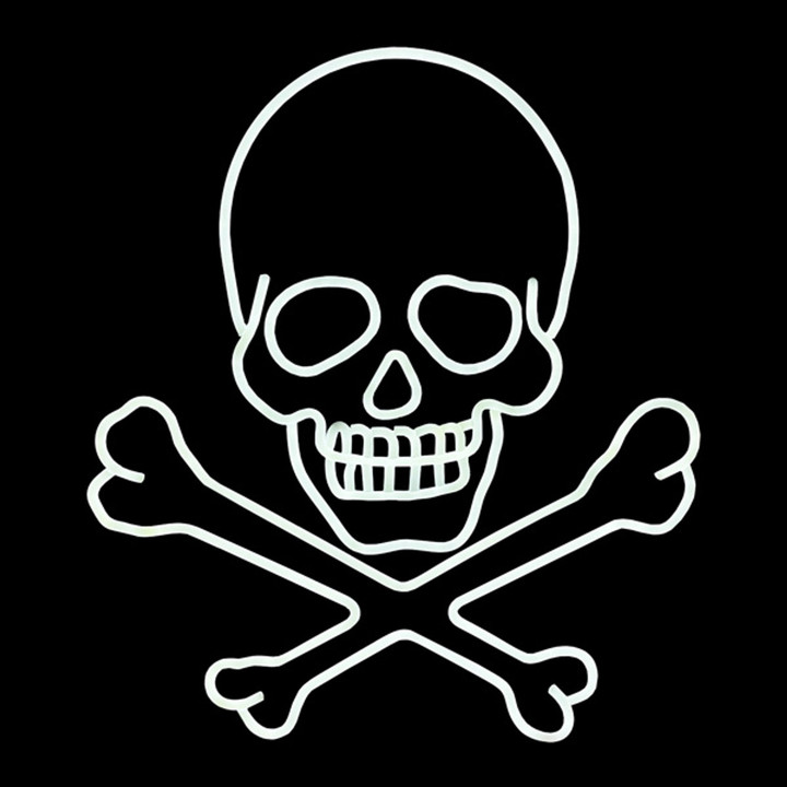 LED Neon Skull & Crossbones Halloween Motif - Birddog Lighting