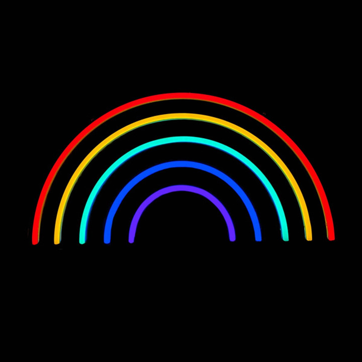 LED Neon Strip Light Rainbow Decoration - Lighted Sign - Multi-Color - 20 Inch