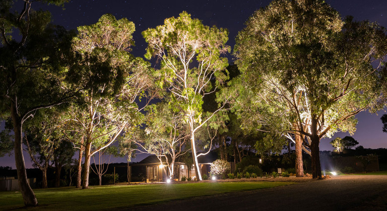 landscape rope lights