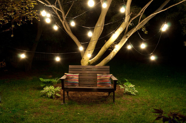 tree landscape lighting ideas