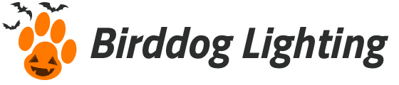 Birddog Lighting