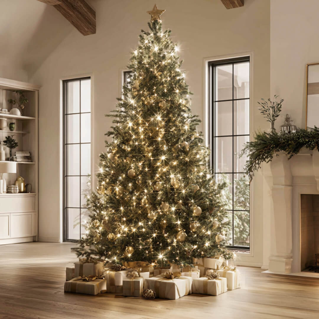 Christmas tree decorated with net lights