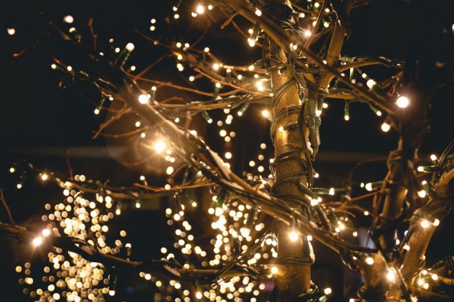 Led Tree Rope Lighting Creative Ways to Use LED Rope Lighting in Your Garden - Birddog Lighting