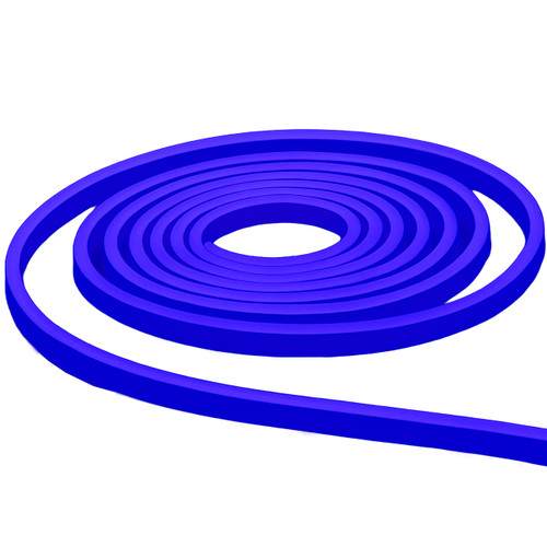 Blue 12V LED Neon Strip Light 16.4ft | Birddog Lighting