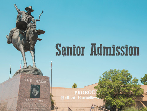 Senior (65+)
