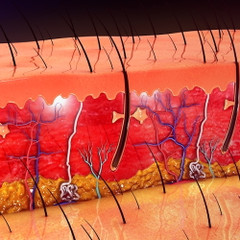 Signs of Damaged Skin Barrier & Dermatologist Repair Tips Signs of Damaged Skin Barrier & Dermatologist Repair Tips