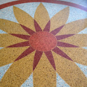 Mollenol for better skin