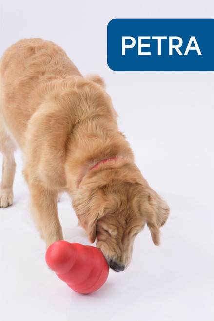 KONG Wobbler - Large