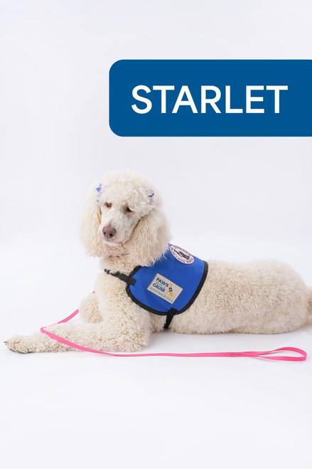 Biothane Waterproof Leash