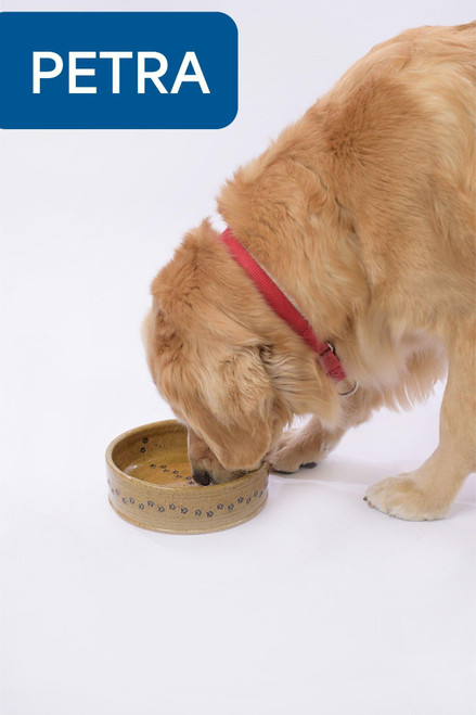 Ceramic Dog Bowl - Amber - Medium Ceramic Dog Bowl - Amber - Medium
