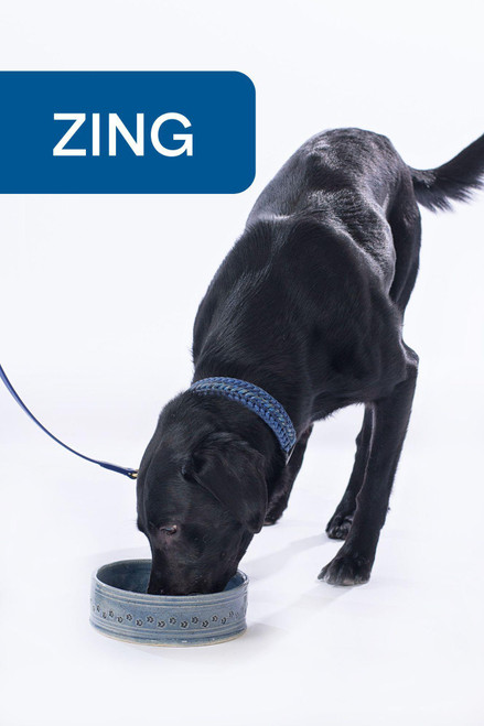 Ceramic Dog Bowl - Blue - Medium