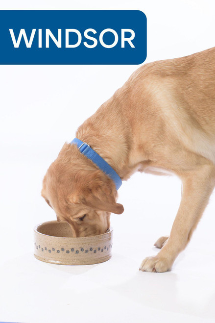 Ceramic Dog Bowl - Dark Tan - Medium