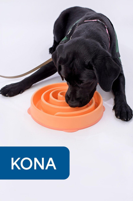 Fun Feeder Slo Bowl - Large