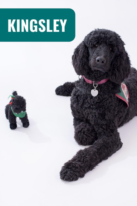 Plush Poodle