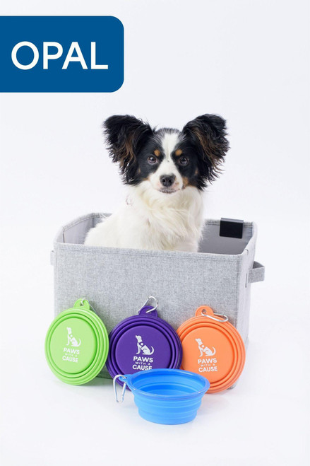 Collapsible Pet Bowl with Carabiner