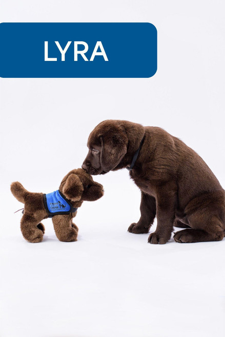 Plush Labrador Retriever - 3 Color Options