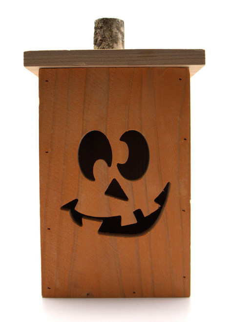 Halloween Lantern - Various Styles