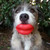 Humunga Lips Chew Toy