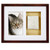 Pawprint Wall Frame & Impression Kit - Espresso