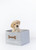 Dog Toy Bin & Blanket Set