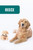 Plush Golden Retriever