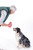 Origami Hippo Dog Toy