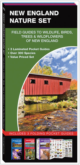 EXTREME HEAT SURVIVAL