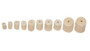 Tipton Cleaning Pellets Complete Pistol Kit