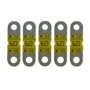 Victron MIDI-Fuse 60A/32V (Package of 5)